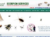http://www.scorpionservices.net