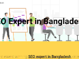 https://sites.google.com/view/seo-expert-in-bangladesh/
