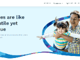 https://carnivalassure.com.bd/