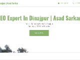 https://seo-expert-in-dinajpur-asad-sarkar.business.site/