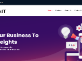 https://alizit.net/
